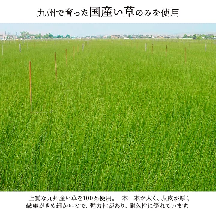 大自然 (I) 敷物 花ござ 国産 純国産 日本製 い草 掛川織 モダン 抗菌防臭 自然素材 江戸間8畳 約348×352cm 草原 草原 [3]