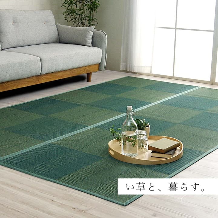 NDXルネ (I) い草ラグ 花ござ カーペット 格子柄 ナチュラル シンプル 和室 洋室 裏不織布滑り止め 滑りにくい 抗菌防臭 消臭 お手入れ簡単 夏快適さらさら 本間6畳 (約286×382cm) ブラックフライデー