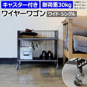 ワゴン ラック 棚 キッチンワゴン キャスター付き ディズプレイラック ワイド 幅広 スチール製 バスケットワゴン 鉄 丈夫 組み立て式 2段 おしゃれ 収納 約幅60.5×奥行42.8×高さ48.9cm ワイヤーワゴン(ワイド・シングル) WW-WW-WS (R) 引っ越し 新生活 お買い物マラソン