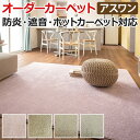 耐久性に優れたカーペット ナイロン100% 日本製 約200×300cm オーダーカーペット フリーカット Wall to Wallカーペット アスフラフィ(A) 引っ越し 新生活 お買い物マラソン