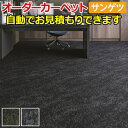 サンゲツ オーダーカーペット カット&ループパイル フリーカット サイズオーダー 形を自由に作れる オーダーメイド サンヘイジー(R) 自動見積り 見積り無料 引っ越し 新生活 お買い物マラソン