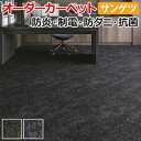 オーダーカーペット フリーカット サンゲツ カーペット 絨毯 じゅうたん ラグ マット フリーカット サンヘイジー(R) 約200×200cm カット&ループパイル ポリプロピレン 抽象柄 マルキーナ モダン 引っ越し 新生活