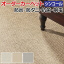 オーダーカーペット フリーカット シンコール プレゾンII 約250×450cm ループパイル 防炎 制電 ナチュラル ベーシック 無地 北欧 シンプル 引っ越し 新生活 お買い物マラソン