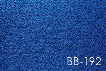 防炎 パンチカーペット パッセージウェイ (R) 生地サンプル 引っ越し 新生活