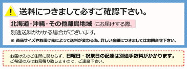 和風オーダーロールスクリーン8種 チェーン式 すだれ調 アジアン エスニック ロールカーテン ロールブラインド 引っ越し 新生活