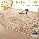 【100万ノット】 シルクタッチ クラシカルデザイン バンブーウィルトンカーペット 約160×230cm オリエント(N)