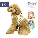 【在庫限りSALE】【犬服】【1号】 アーガイル柄 ベストハーネス 1号サイズ Feeripue(フェリーク) ドッグウェア 小型犬【RCP】