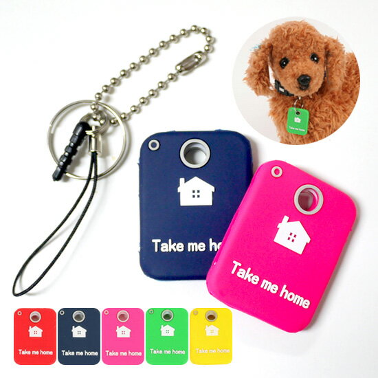 犬鑑札が入る 迷子札 リング チェーン付