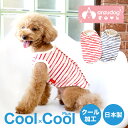 【在庫限り】【犬服】夏物新作 クール×クールプラス 背中開きボーダータンクトップ クークチュール CooCouture 0031