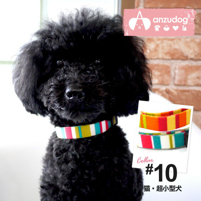 【ゆうパケット対応商品】 レインボーカラー（首輪） #10 猫超小型犬用 犬用 ペット用品 お散歩