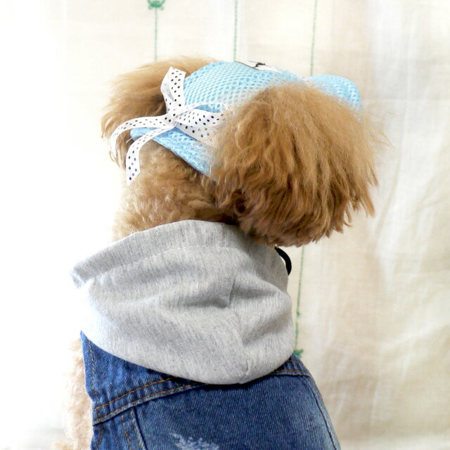 TAIL UP ペットハット 犬用帽子 サファリハット ドッグウエア 小型犬 犬服 かわいい ペット 春夏