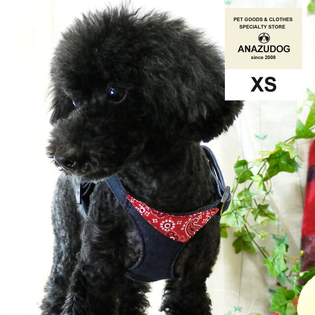 azeria アゼリア ジョニーハーネス XS 胴輪（ハーネス） ドッグウエア 犬用