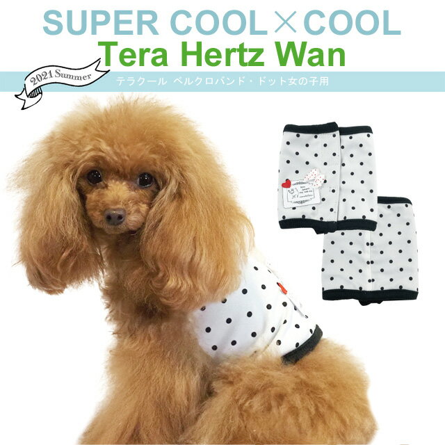 【在庫限り】2021春夏新作 テラクール ベルクロバンド・ドット女の子用 SS〜3L 7244 犬服 ドッグウェア 介護 小型〜中型犬 ペット用品 クークチュール