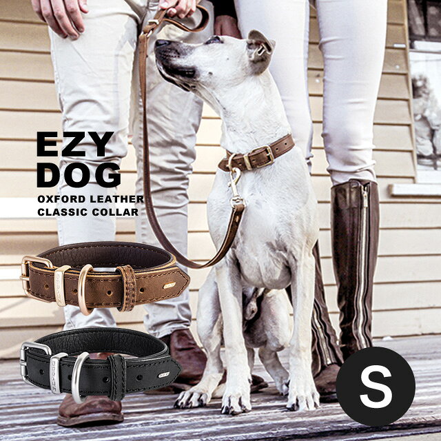 乐天商城 - EZYDOG イージードッグ EZ レザーカラー S 犬用首輪 ドッグウェア お散歩