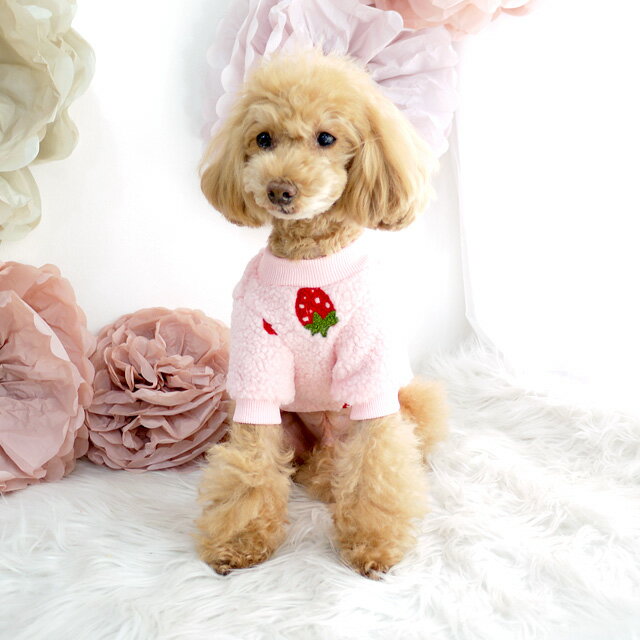 �⤳�⤳�� �ܥ����åȥ��� �ɥå������� ������ ANZUDOG�ʤ��󤺥ɥå��� ���� �ڥå� ����