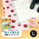 制菌ペットシーツ2 プレミア 何度も洗って使える ストロベリー&ベア柄 L 犬 猫 ペット トイレ 制菌素材