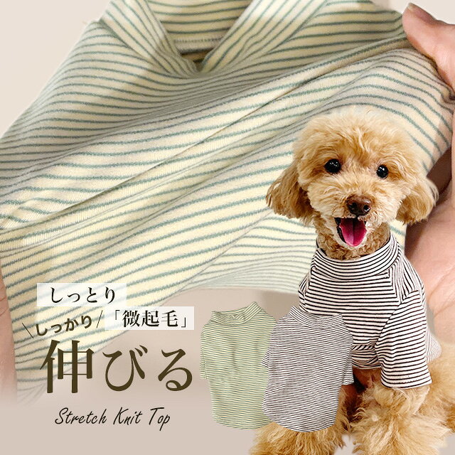 樂天商城 - ボーターハイネックTシャツ 微起毛 伸縮性あり ドッグウェア 犬服 小型犬 ペット ANZUDOG（あんずドッグ）