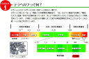 【犬服】 テラヘルツワン SWDテラヘルツワン・ベルクロパジャマ 12110 2