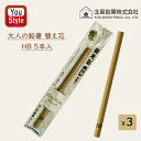【3本まとめ売り】北星鉛筆 KITA-BOSHI PENCIL シャープペン替芯 大人の鉛筆用 替え芯 2mm HB 5本入り OTP-150HB(19954)...