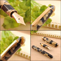 プラチナ万年筆PLATINUM#3776セルロイド万年筆全6色細字/中字/太字PLA-PTB-30000S【着後レビューでクーポンGET】