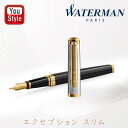 在庫一掃 赤字セール ウォーターマン WATERMAN 万年筆 エクセプション スリム デラックス リフレクション オブ パリGT 18金ペン先 細字F 220...