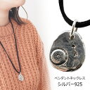 楕円 プレート 矢と盾 矛盾 インディアン ネイティブ ネックレス シルバー925 silver925 ペンダントトップ ペンダントヘッド メンズ(4)