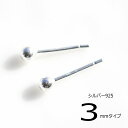 シルバーピアス 丸玉シャカ球ピアス3mm a005(a-1-2) シルバー925 silver925 シルバーアクセサリー シルバーボールピアス シンプル一粒ピアス スタッドピアス レディースピアス 母の日