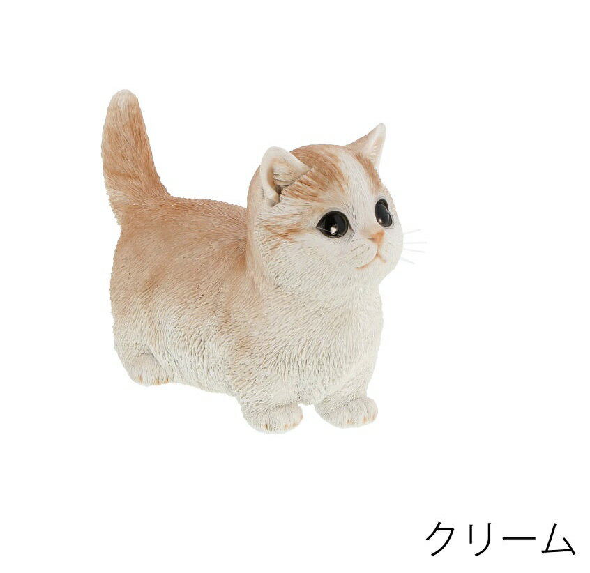 マンチカン　クリーム　ベニーズキャット　リアルひげ付き　21.2cm×9.5cm×高さ15cm　　重量：500g 　素材:ポリレジン