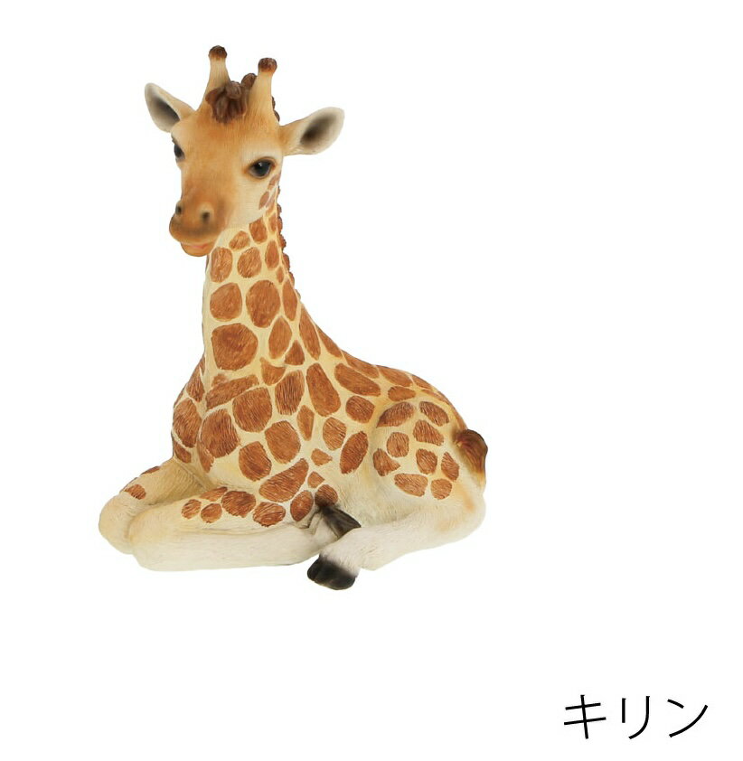 キリン　子ども　リトルサバンナ　11.3cm×7.5cm×高さ14.5cm　　重量：250g　素材:ポリレジン