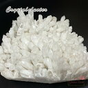 【1点限定】インテリア オブジェ 水晶 クラスター クリスタル 天然石 浄化 パワーストーン アクセサリー cluster-121【宅配便】 GreenRose...
