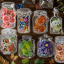クリアステッカー レジン 封入 文房具 瓶詰風デザイン 花 植物 フラワー 葉っぱ 紅葉 苺 ベリー パン 全8種 1袋35枚入り seal94 GreenRo...