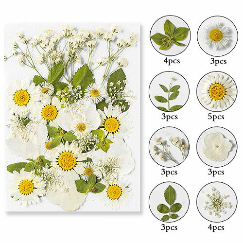 ������ �ߥå��� �ۥ磻�ȷ� 14��10cm������ 1�� pf21 GreenRoseYumi