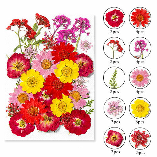 ������ �ߥå��� ��åɡ��ԥ󥯡��������� 14��10cm������ 1�� pf24 GreenRoseYumi