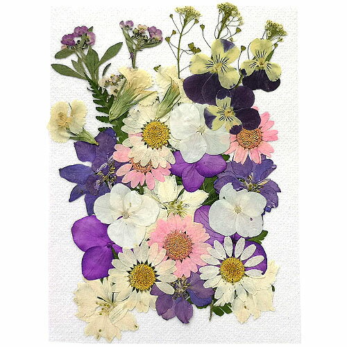  ߥå ۥ磻ȡѡץ롦ԥ 1410cm 1 pf27 GreenRoseYumi