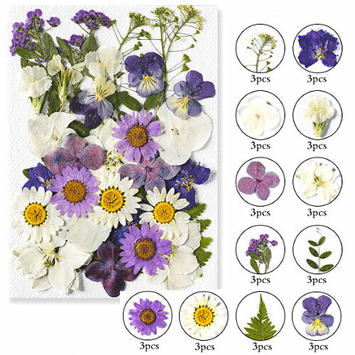 ������ �ߥå��� �ۥ磻�ȡ��ѡ��ץ롦�ԥ� 14��10cm������ 1�� pf27 GreenRoseYumi