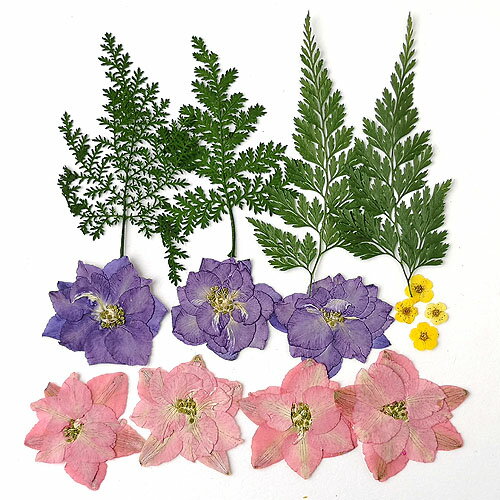 ������ �ߥå��� ����ե� 14��10cm������ 1�� pf32 GreenRoseYumi