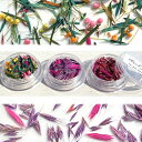 ドライフラワー 葉っぱ 花びら つぼみ 押し花 色々ミックス レジン ネイル 封入 花材 素材 レジンアクセサリー ケース入り 1個 【f69】 GreenRo...