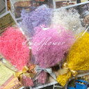 カスミソウ かすみそう かすみ草 ドライフラワー 花束 スワッグ ブーケ レジン プリザーブドフラワー 封入 素材 材料 ハーバリウム 母の日 プレゼント 花材...