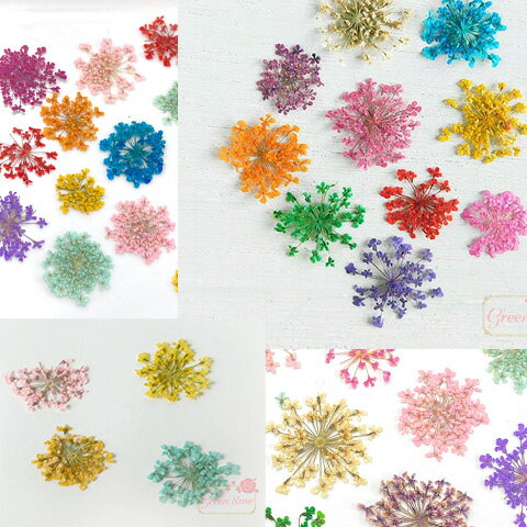 押し花 ドライフラワー レースフラワー ジェルネイル ネイルアート レジン 封入 キャンドル 小花 カラー ミックス 12輪 f86 GreenRoseYumi