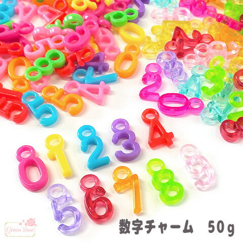  ʥС ե ץ饹å 㡼 50g ym1-2078 GreenRoseYumi