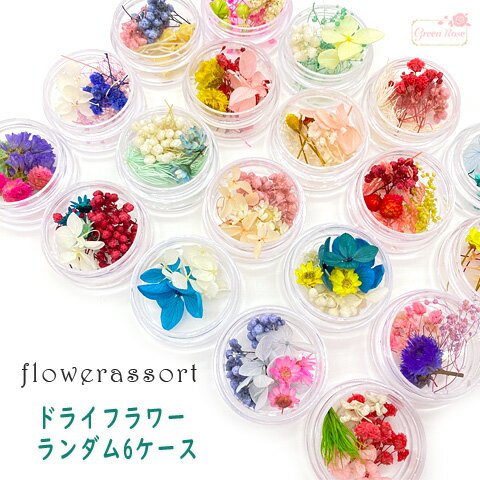 ɥ饤ե ߥå    6 assort287 GreenRoseYumi