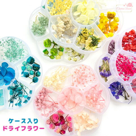 åդޤ ɥ饤ե  ַ ʡ 6 1 assort290 GreenRoseYumi