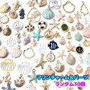 海 マリン 夏 サマー 貝 チャーム パーツ お楽しみ 福袋 アソート ランダム 30個入り fuku45 GreenRoseYumi