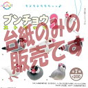 【非売品ディスプレイ台紙】ntc.Puff ブンチョウ ストラップ2 奇譚クラブ ガチャポン