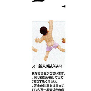 ザリガニワークスプレゼンツ シリーズ 生きる 第六夜 がけっぷち 8:新人(恥じらい) 奇譚クラブ ガチャポン