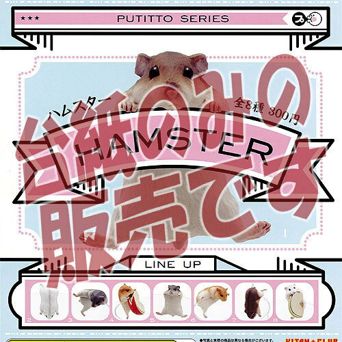 【非売品ディスプレイ台紙】PUTITTO 