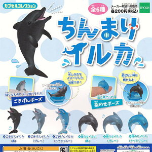 ちんまりイルカ全6種セットエポック社ガチャポン
