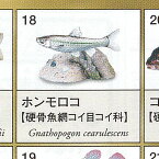 原色図鑑 シリーズ 6 原色淡水魚図鑑 2 3：ホンモロコ ユージン ガチャポン ガチャガチャ ガシャポン