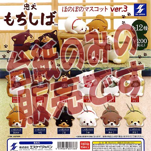 【非売品ディスプレイ台紙】忠犬もちしば ほのぼのマスコット ver.3 エスケイジャパン ガチャポン ガチャガチャ ガシャポン 1