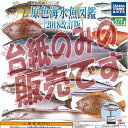 【非売品ディスプレイ台紙】原色図鑑シリーズ 原色海水魚図鑑 2018改訂版 タカラトミーアーツ ガチャポン ガチャガチャ ガシャポン